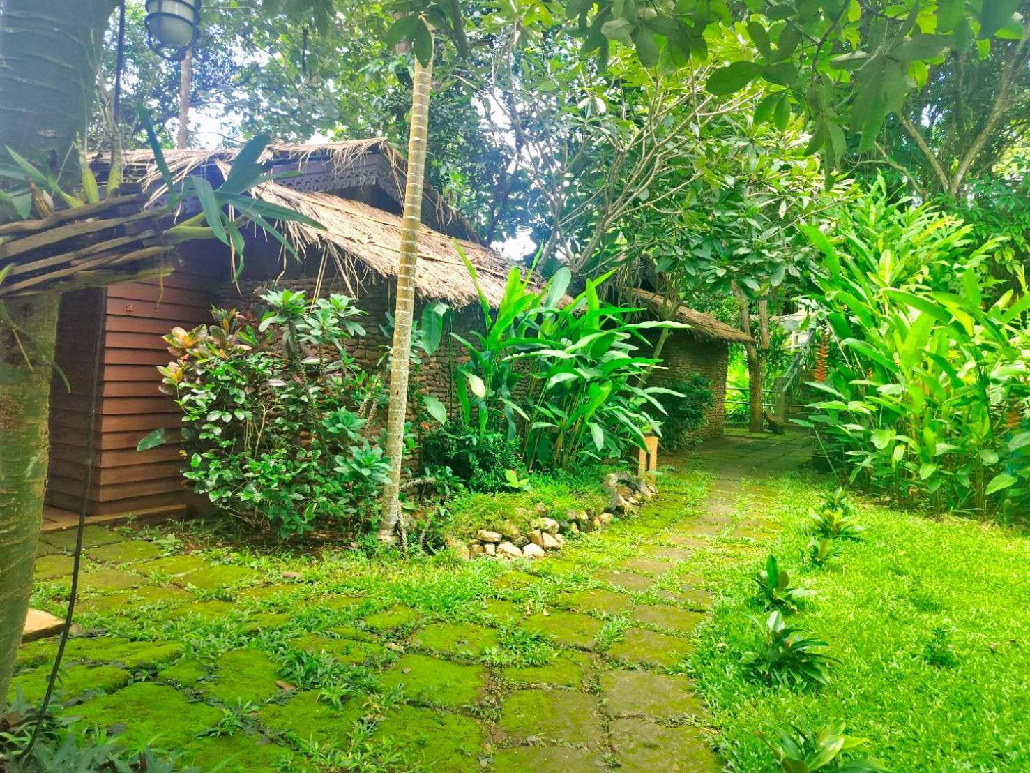Hot Coffee Guest House And Resort Ban Mae Na Chon Екстериор снимка